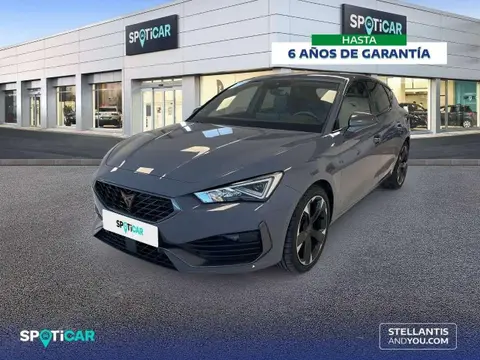 Annonce CUPRA LEON Essence 2023 d'occasion 