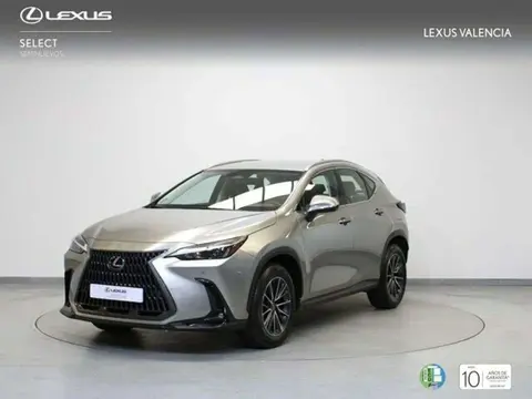 Used LEXUS NX Hybrid 2022 Ad 