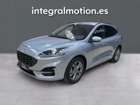 Used FORD KUGA Petrol 2022 Ad 