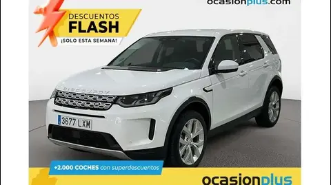 Annonce LAND ROVER DISCOVERY Diesel 2022 d'occasion 