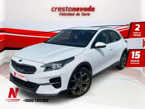 Used KIA XCEED Diesel 2020 Ad 