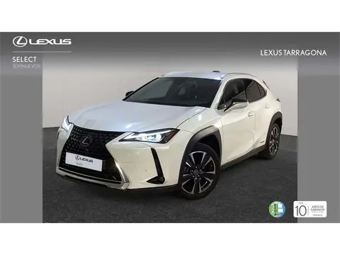 Annonce LEXUS UX Hybride 2020 d'occasion 