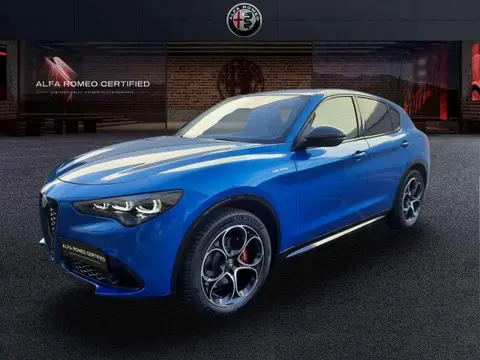 Annonce ALFA ROMEO STELVIO Diesel 2023 d'occasion 