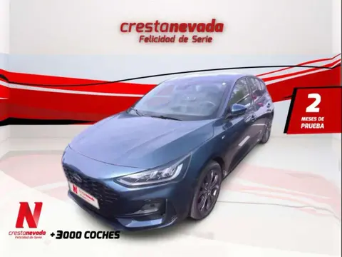 Annonce FORD FOCUS Hybride 2022 d'occasion 