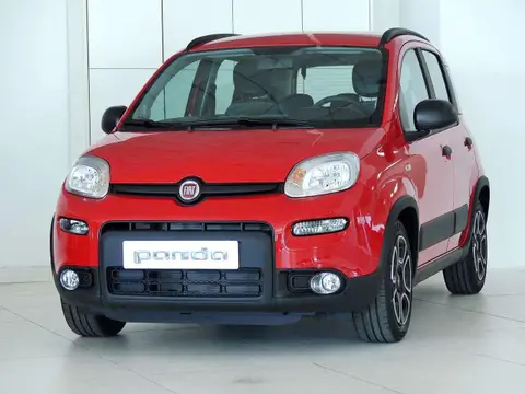 Used FIAT PANDA Hybrid 2024 Ad 