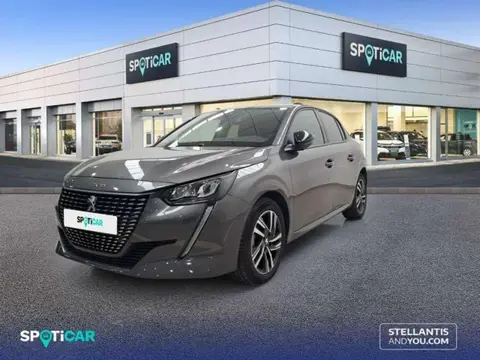 Used PEUGEOT 208 Petrol 2023 Ad 