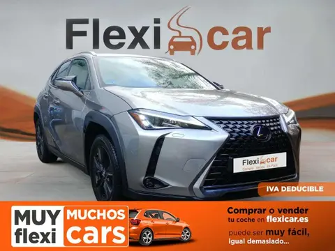 Used LEXUS UX Hybrid 2019 Ad 