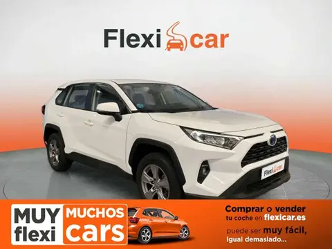 Used TOYOTA RAV4 Hybrid 2022 Ad 