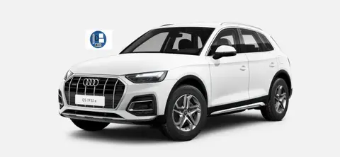 Used AUDI Q5 Hybrid 2024 Ad 