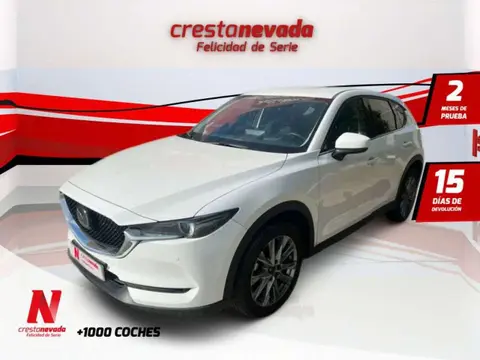 Used MAZDA CX-5 Petrol 2020 Ad 