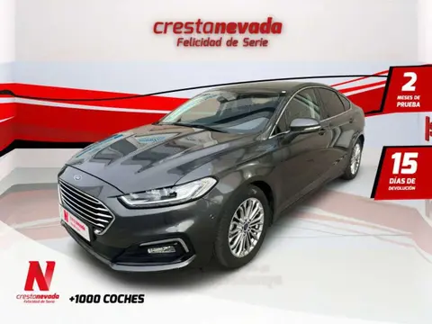 Used FORD MONDEO Hybrid 2021 Ad 