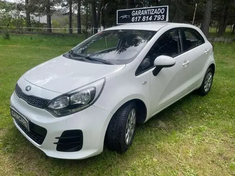 Used KIA RIO Petrol 2015 Ad 