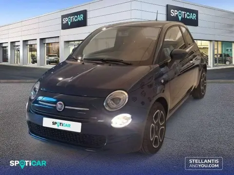 Used FIAT 500 Petrol 2023 Ad 