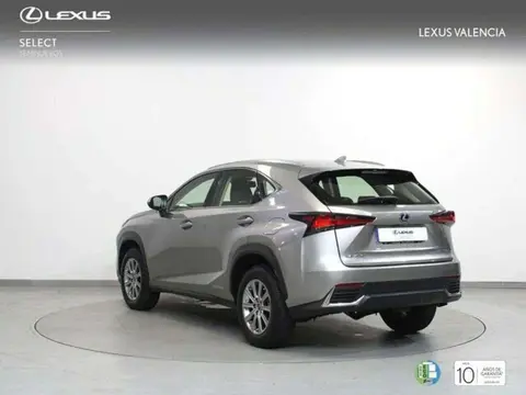 Annonce LEXUS NX Hybride 2020 d'occasion 