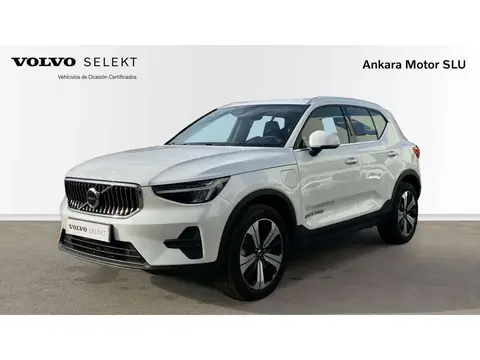 Used VOLVO XC40 Hybrid 2023 Ad 