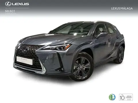 Used LEXUS UX Hybrid 2023 Ad 