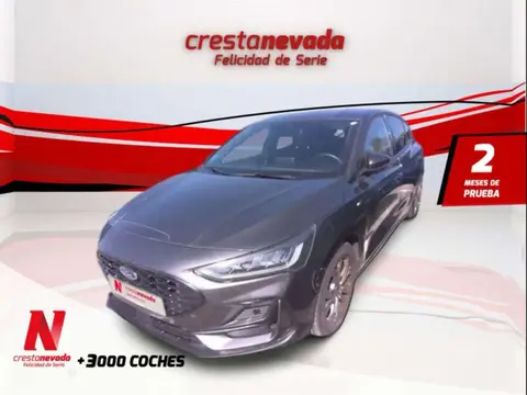 Annonce FORD FOCUS Hybride 2022 d'occasion 