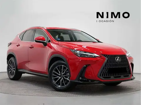 Used LEXUS NX Hybrid 2024 Ad 