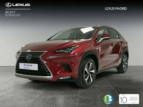 Used LEXUS NX Hybrid 2018 Ad 