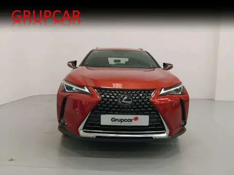 Used LEXUS UX Hybrid 2019 Ad 