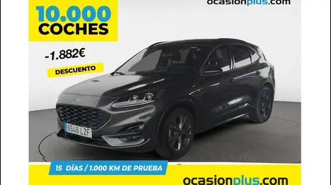 Used FORD KUGA Petrol 2022 Ad 