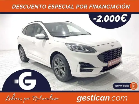 Used FORD KUGA Petrol 2021 Ad 