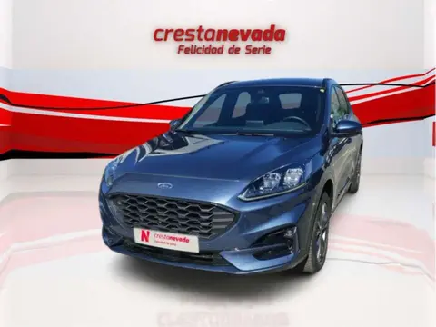 Annonce FORD KUGA Hybride 2022 d'occasion 