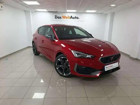 Used CUPRA LEON Petrol 2024 Ad 