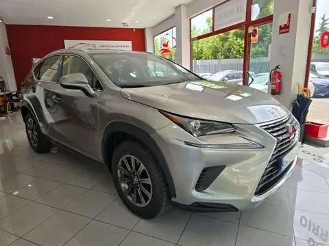 Annonce LEXUS NX Hybride 2020 d'occasion 