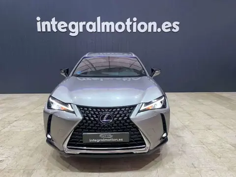 Used LEXUS UX Hybrid 2021 Ad 