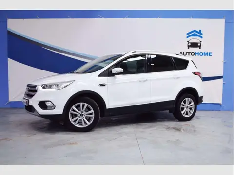 Used FORD KUGA Petrol 2019 Ad 