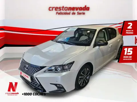 Annonce LEXUS CT Hybride 2020 d'occasion 