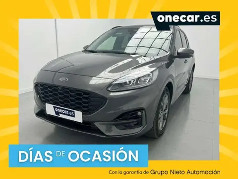 Used FORD KUGA  2022 Ad 