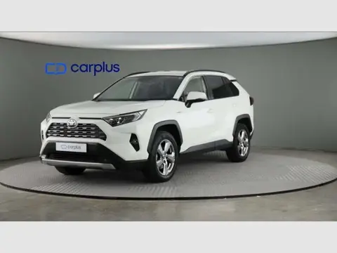 Used TOYOTA RAV4 Hybrid 2019 Ad 