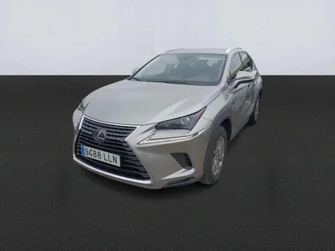 Annonce LEXUS NX Hybride 2020 d'occasion 