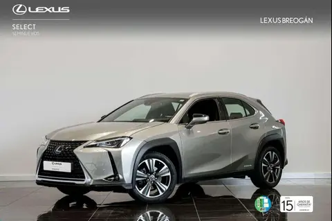 Used LEXUS UX Hybrid 2020 Ad 