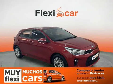 Used KIA RIO Petrol 2019 Ad 