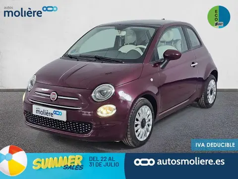 Used FIAT 500 Petrol 2021 Ad 