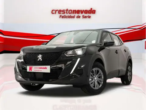 Used PEUGEOT 2008 Petrol 2023 Ad 