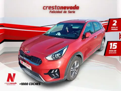 Annonce KIA NIRO Hybride 2021 d'occasion 