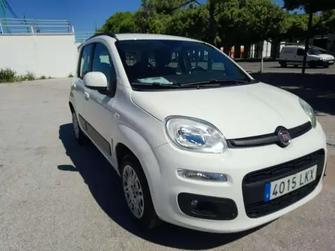 Used FIAT PANDA Petrol 2020 Ad 