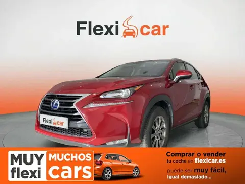 Used LEXUS NX Hybrid 2016 Ad 