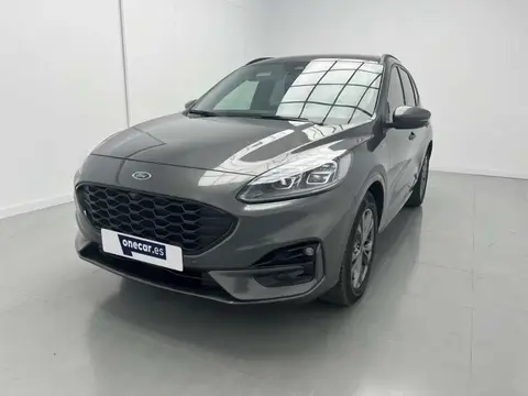 Used FORD KUGA  2022 Ad 