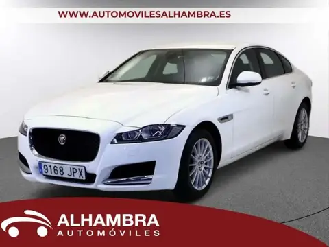 Used JAGUAR XF Petrol 2016 Ad 