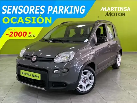 Used FIAT PANDA Petrol 2023 Ad 