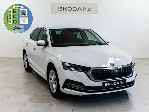 Used SKODA OCTAVIA Petrol 2024 Ad 