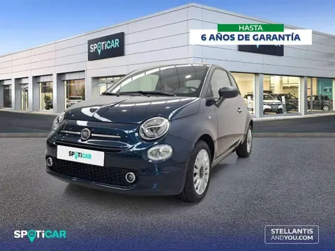 Used FIAT 500 Petrol 2023 Ad 