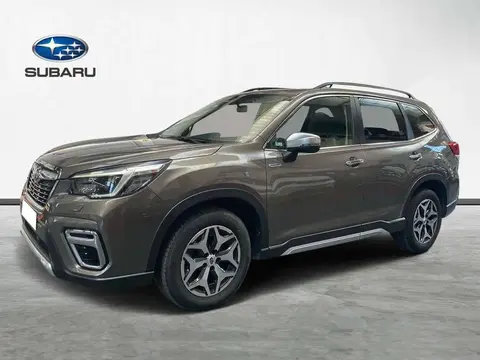 Used SUBARU FORESTER Hybrid 2021 Ad 