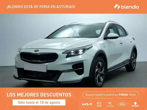 Annonce KIA XCEED Hybride 2024 d'occasion 