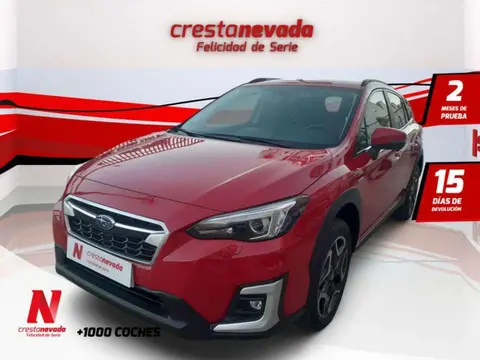 Annonce SUBARU XV Hybride 2021 d'occasion 